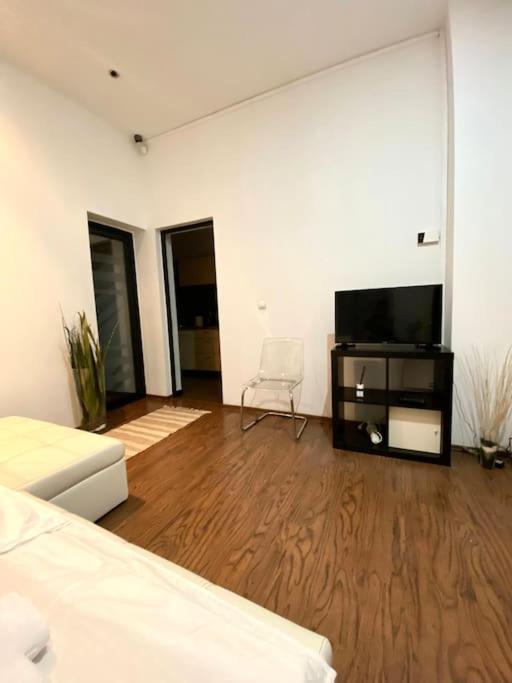 Harmony Homes- Piata Unirii Central Apartament Timisoara Exterior foto