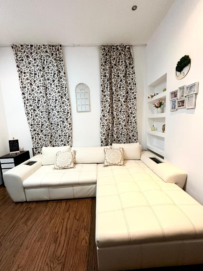 Harmony Homes- Piata Unirii Central Apartament Timisoara Exterior foto