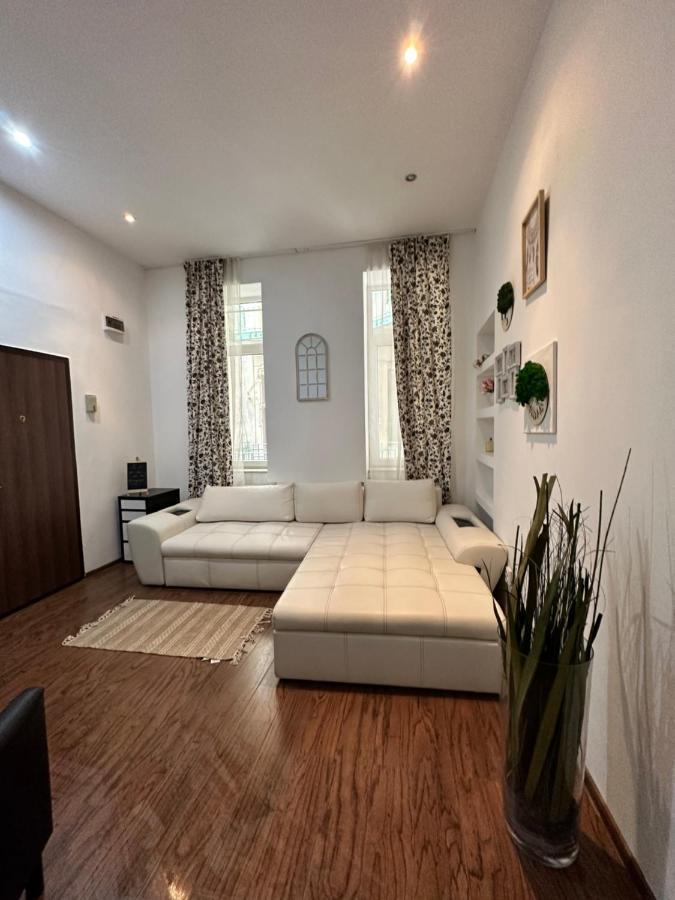 Harmony Homes- Piata Unirii Central Apartament Timisoara Exterior foto